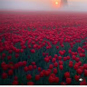 Meet your Posher, Saman